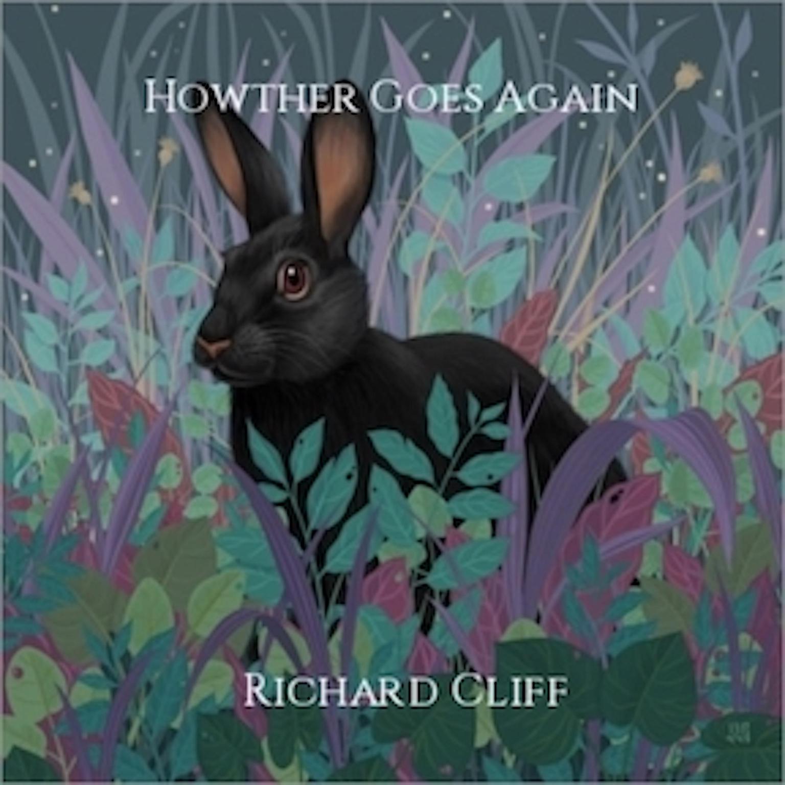 Howther goes Again Audiobook, by Richard Cliff