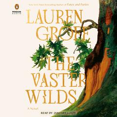 The Vaster Wilds: A Novel Audiobook, by Lauren Groff