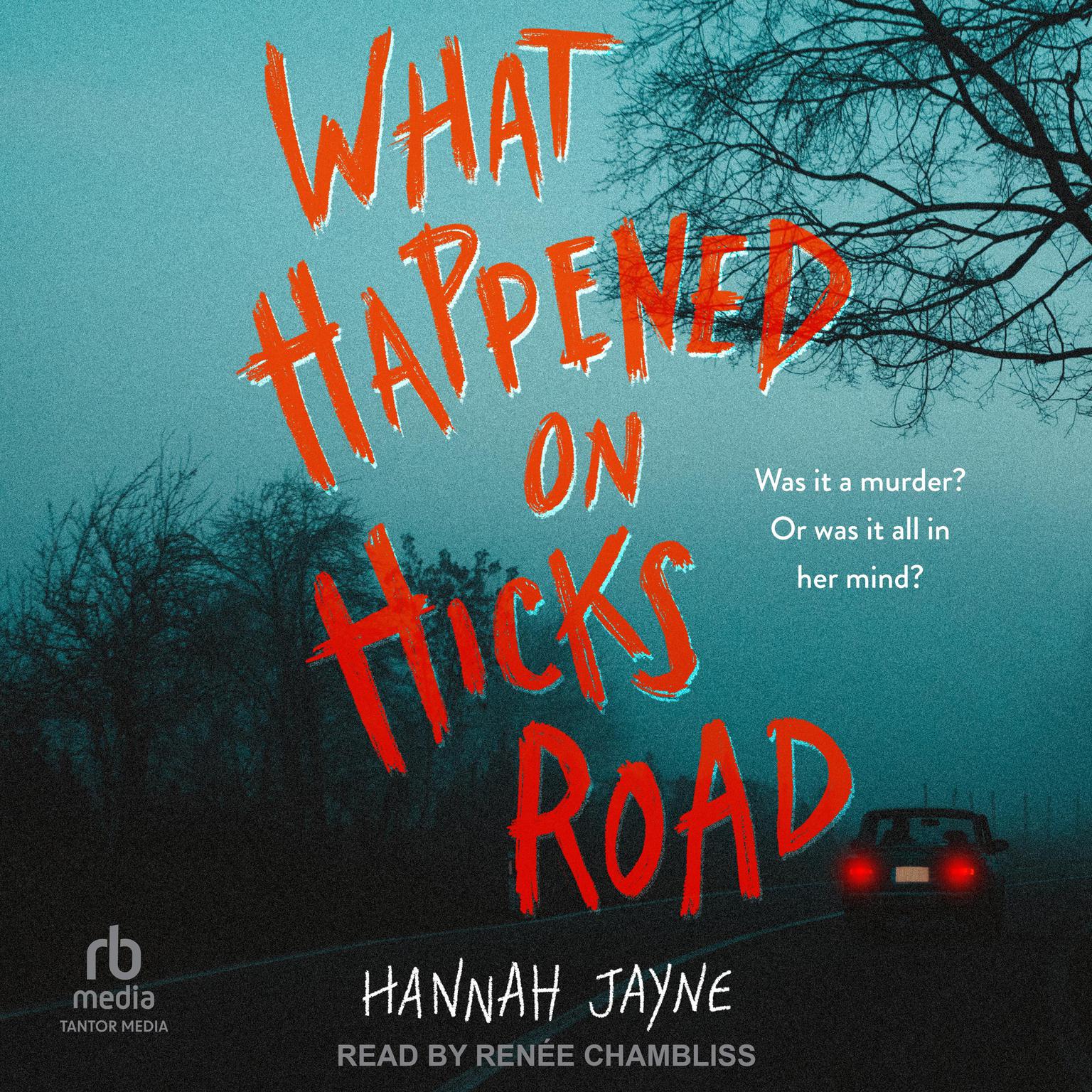What Happened on Hicks Road Audiobook, by Hannah Jayne