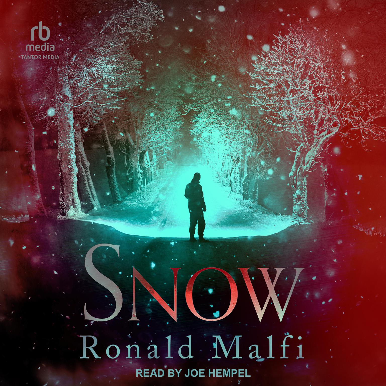 Snow Audiobook, by Ronald Malfi