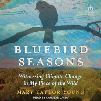 Bluebird Seasons: Witnessing Climate Change in My Piece of the Wild Audiobook, by Mary Taylor Young