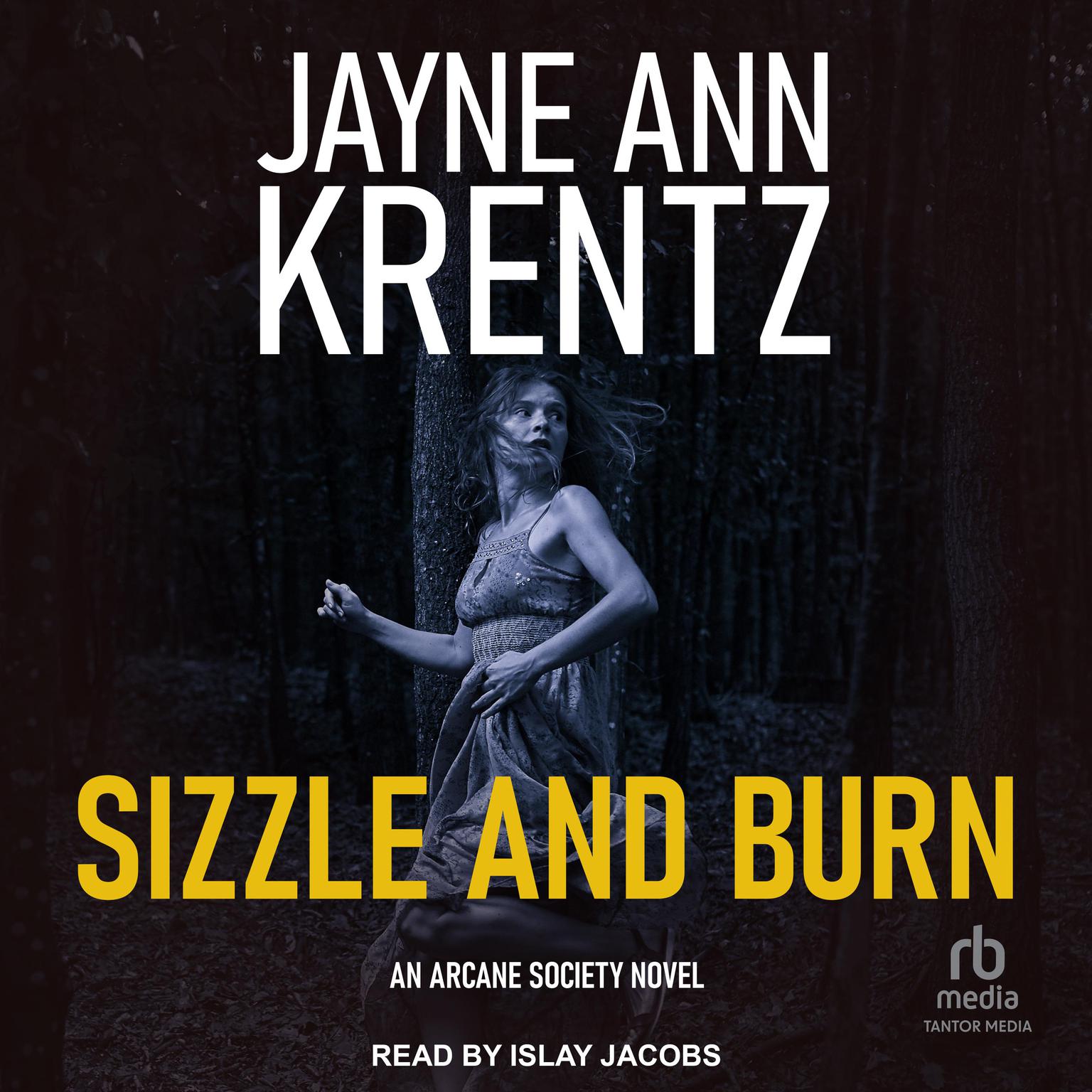 Sizzle and Burn Audiobook, by Jayne Ann Krentz