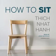 How to Sit Audiobook, by Thich Nhat Hanh