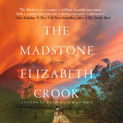 The Madstone: A Novel Audiobook, by Elizabeth Crook