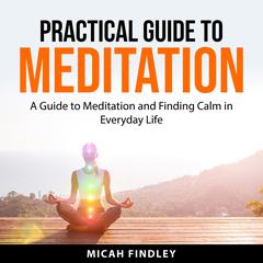 Practical Guide to Meditation Audiobook, by Micah Findley