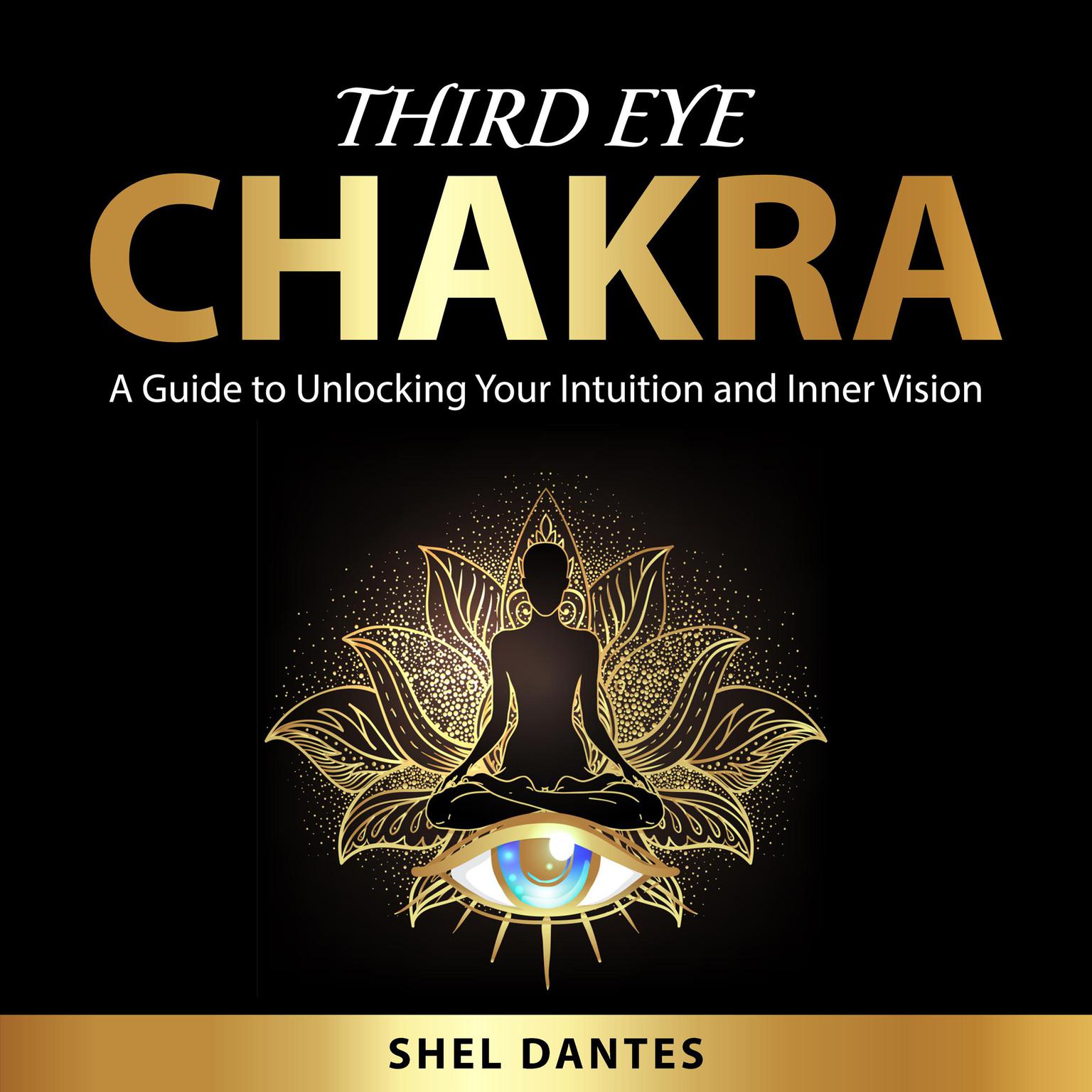 Third Eye Chakra Audiobook, by Shel Dantes