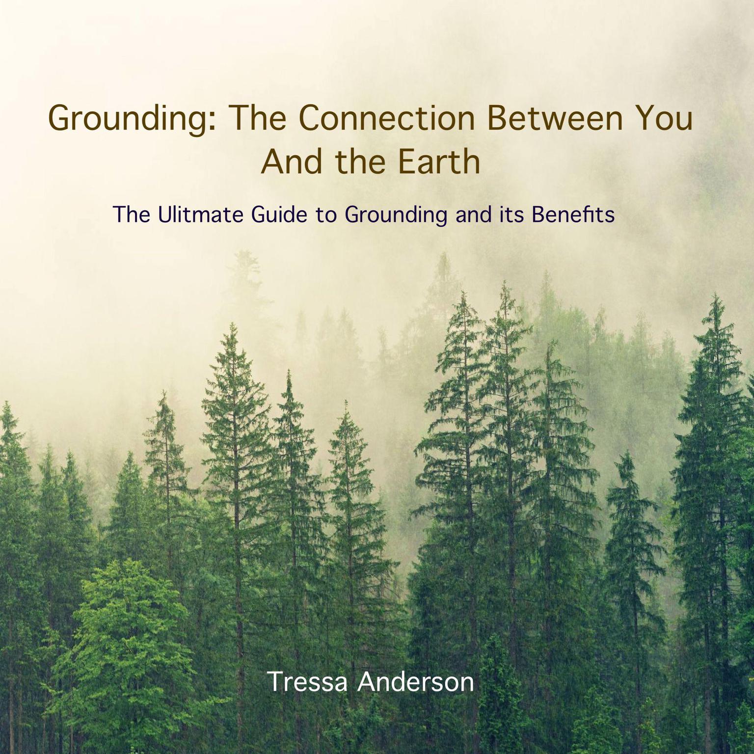 Grounding: The Connection Between You and the Earth Audiobook, by Tressa Anderson