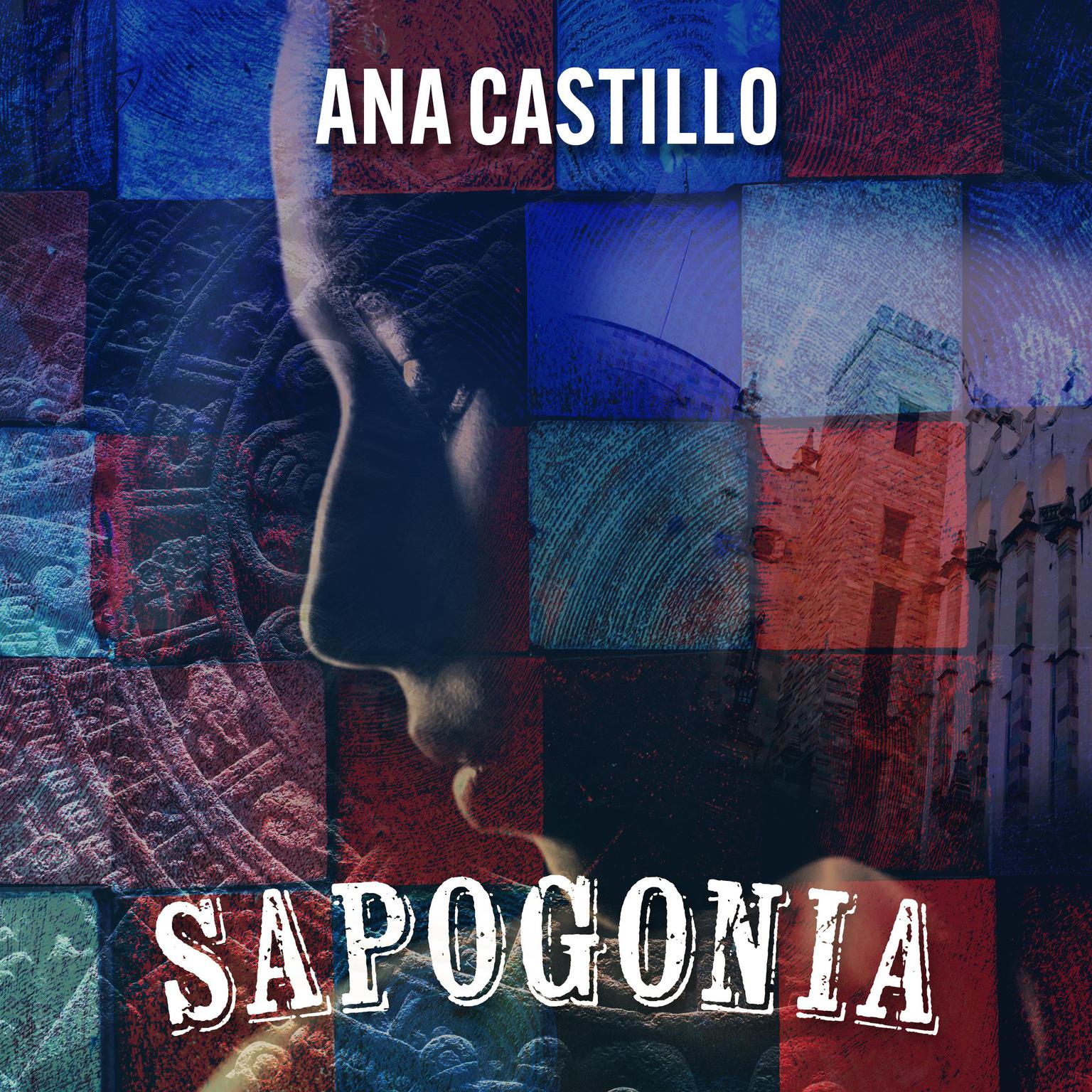 Sapogonia: An Anti-Romance in 3/8 Meter Audiobook, by Ana Castillo