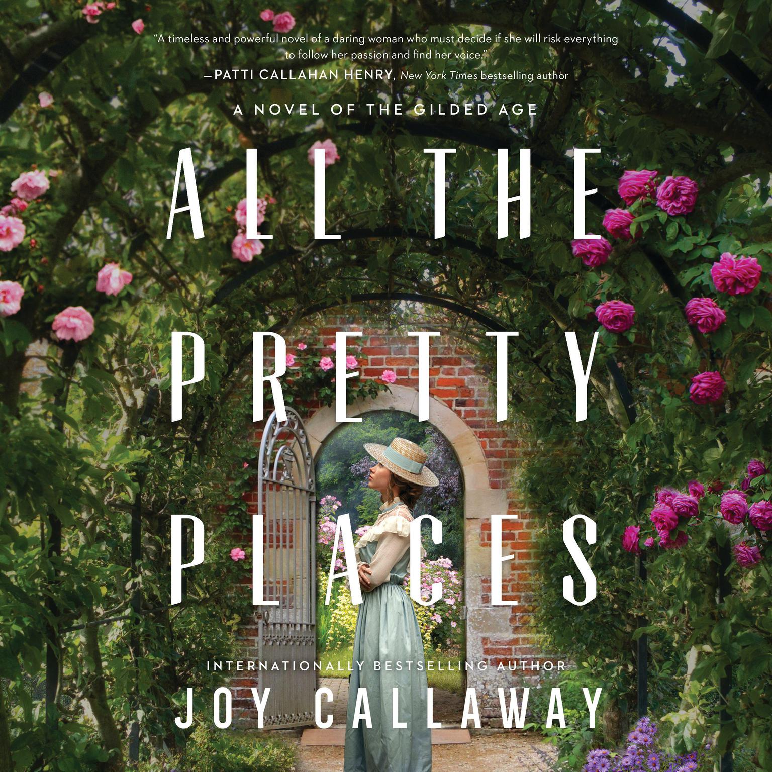 All the Pretty Places: A Novel of the Gilded Age Audiobook, by Joy Callaway