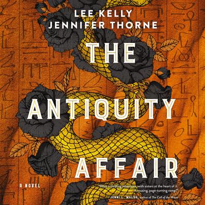 The Antiquity Affair Audiobook, by Lee Kelly
