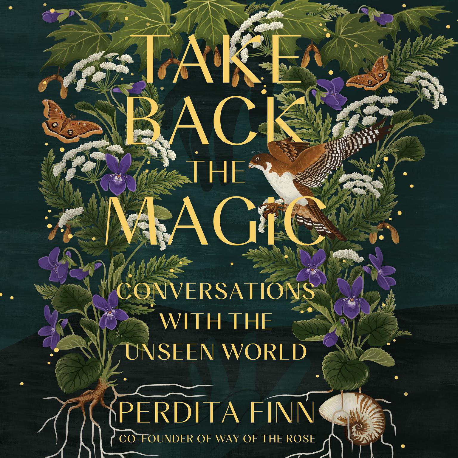 Take Back the Magic: Conversations with the Unseen World Audiobook, by Perdita Finn