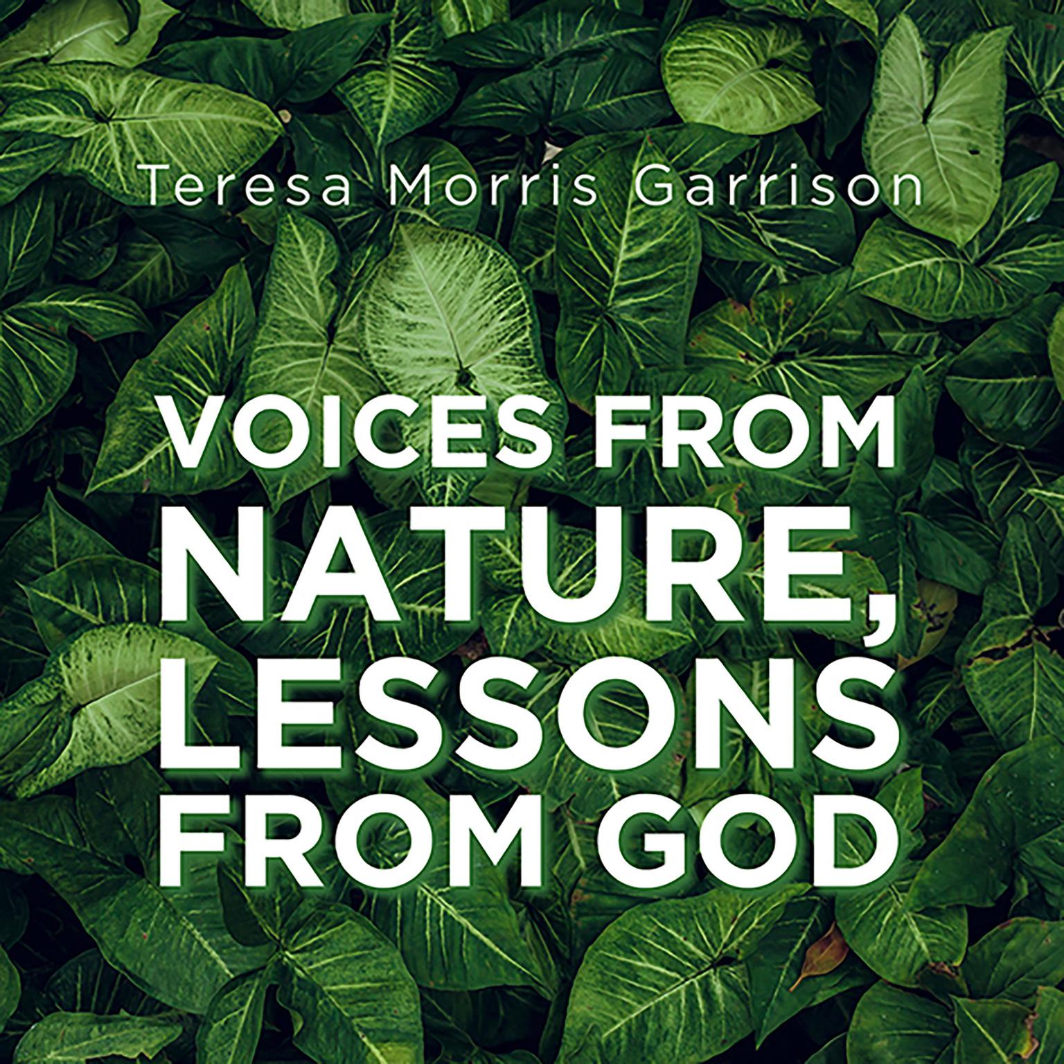 Voices From Nature, Lessons From God Audiobook, by Teresa Morris Garrison