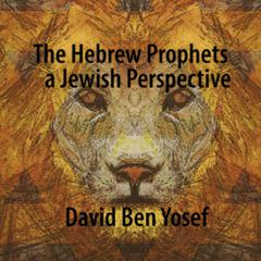 The Hebrew Prophets: A Jewish Perspective Audiobook, by David Ben Yosef