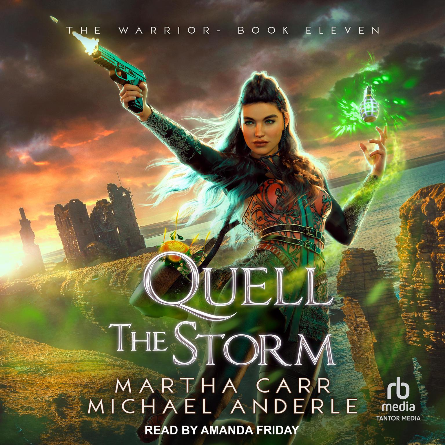 Quell the Storm Audiobook, by Michael Anderle