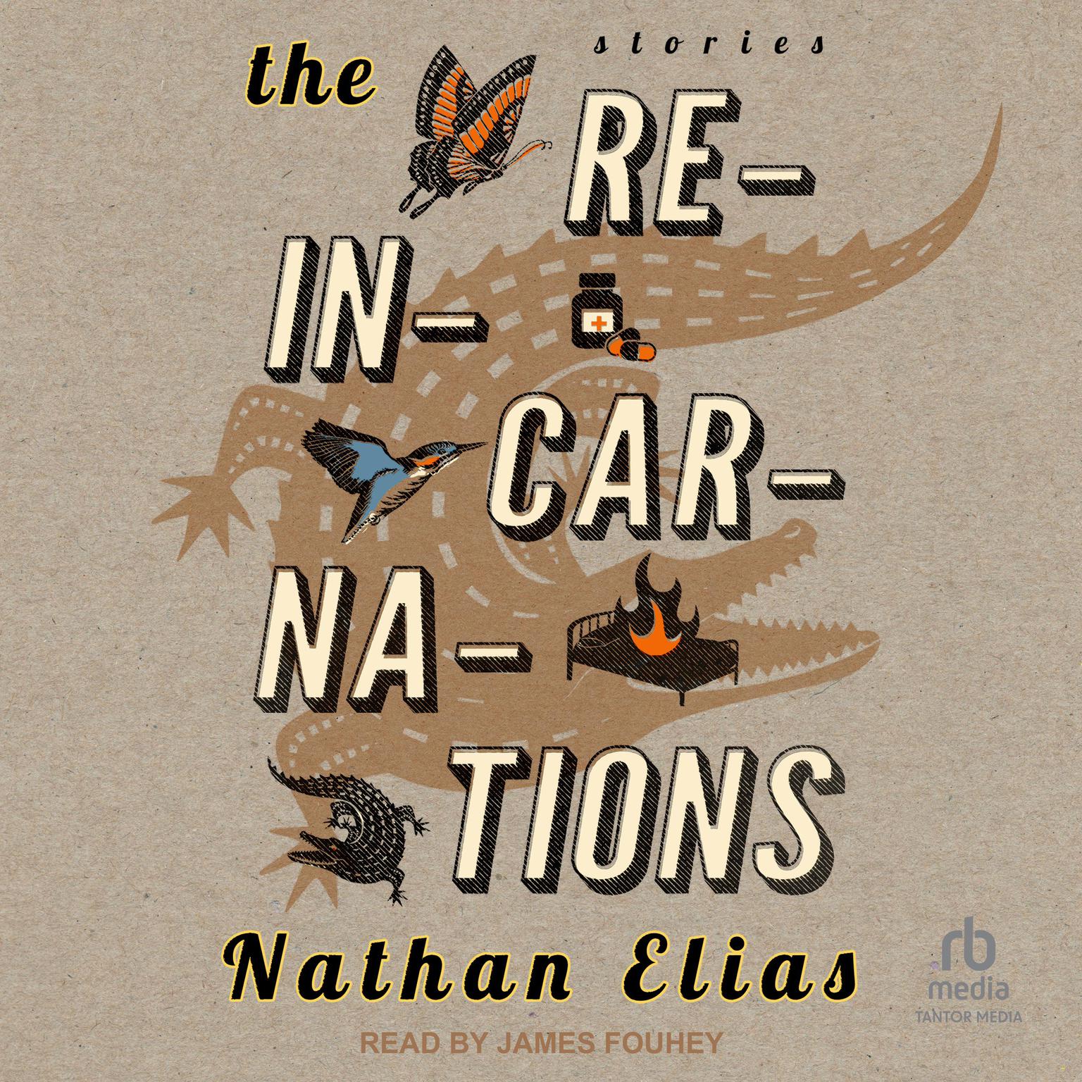 The Reincarnations Audiobook, by Nathan Elias