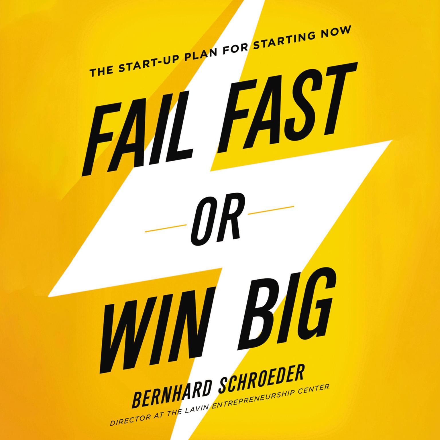 Fail Fast or Win Big: The Start-Up Plan for Starting Now Audiobook, by Bernhard Schroeder