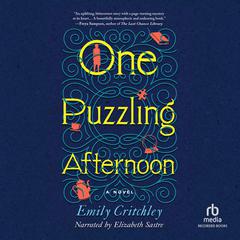One Puzzling Afternoon Audiobook, by Emily Critchley