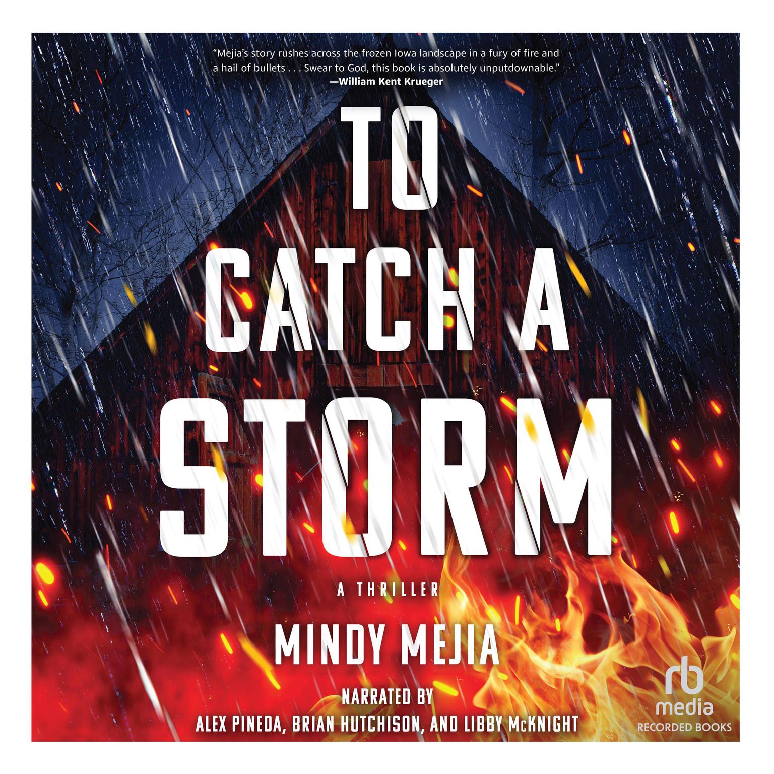 To Catch a Storm Audiobook, by Mindy Mejia