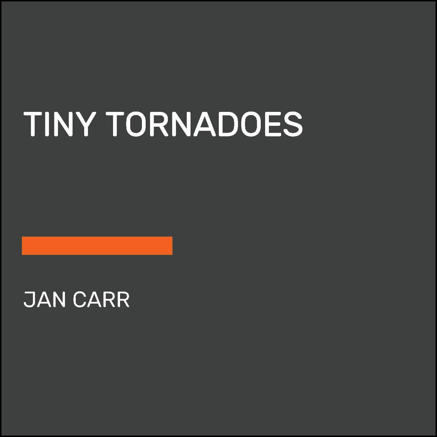 Tiny Tornadoes Audiobook, by Jan Carr