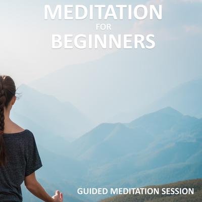 Meditation for Beginners: Guided Meditation Class Audiobook, by Sue Fuller