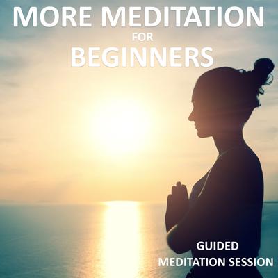 More Meditation for Beginners: Guided Meditation Class Audiobook, by Sue Fuller
