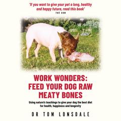 Work Wonders Audiobook, by Tom Lonsdale