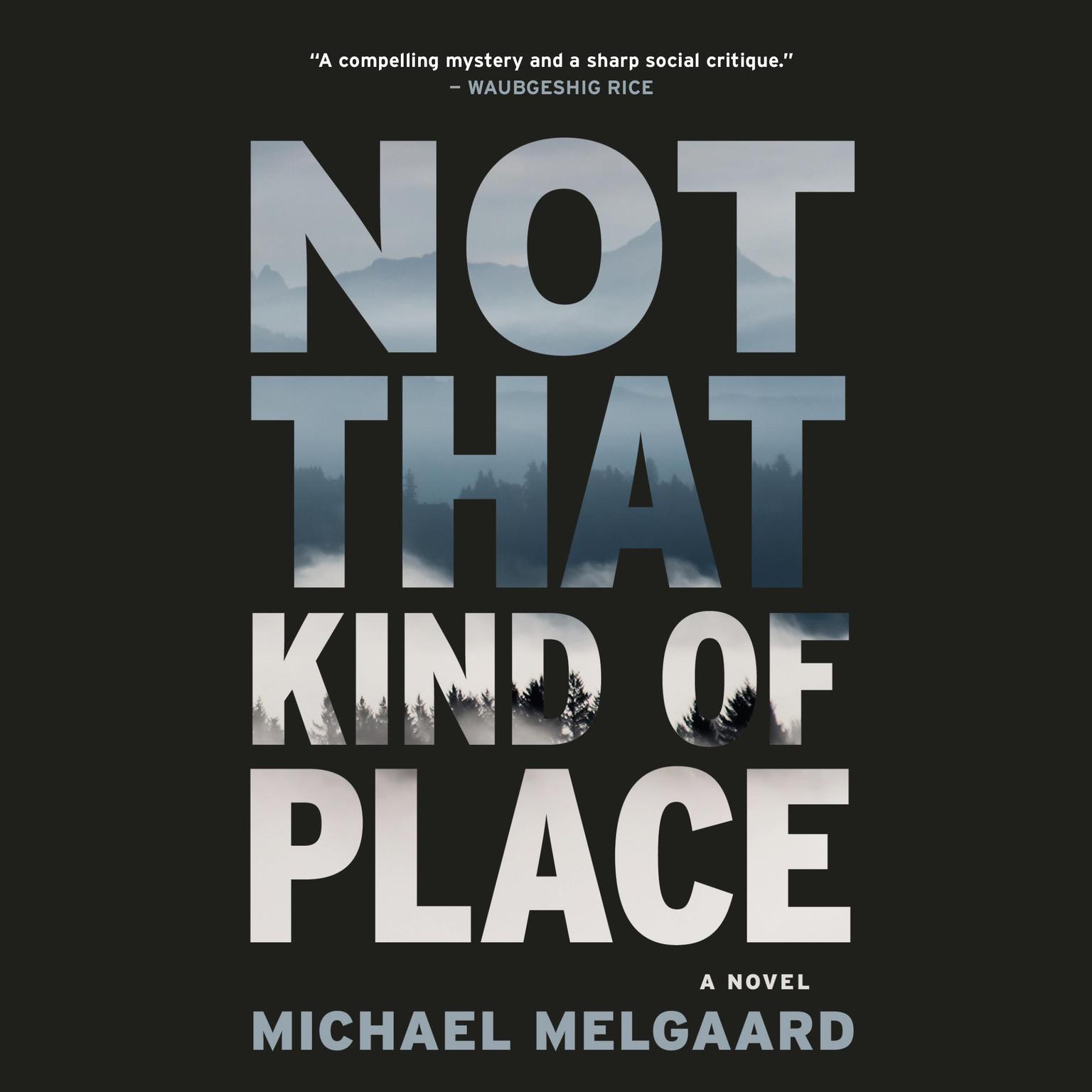 Not That Kind of Place Audiobook, by Michael Melgaard