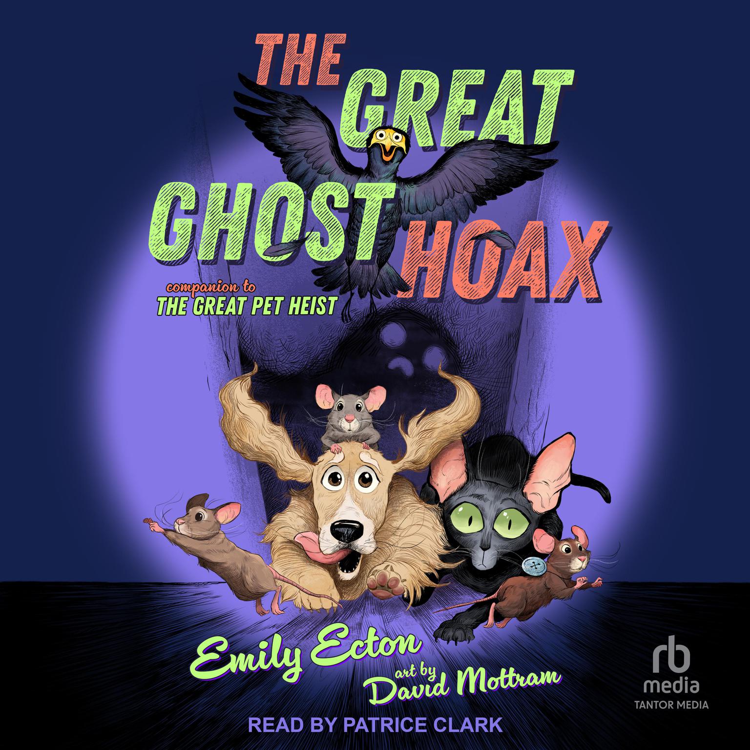 The Great Ghost Hoax Audiobook, by Emily Ecton