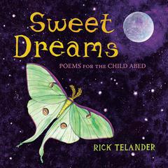 Sweet Dreams Audiobook, by Rick Telander