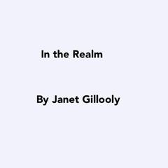 In the Realm Audiobook, by Janet Gillooly