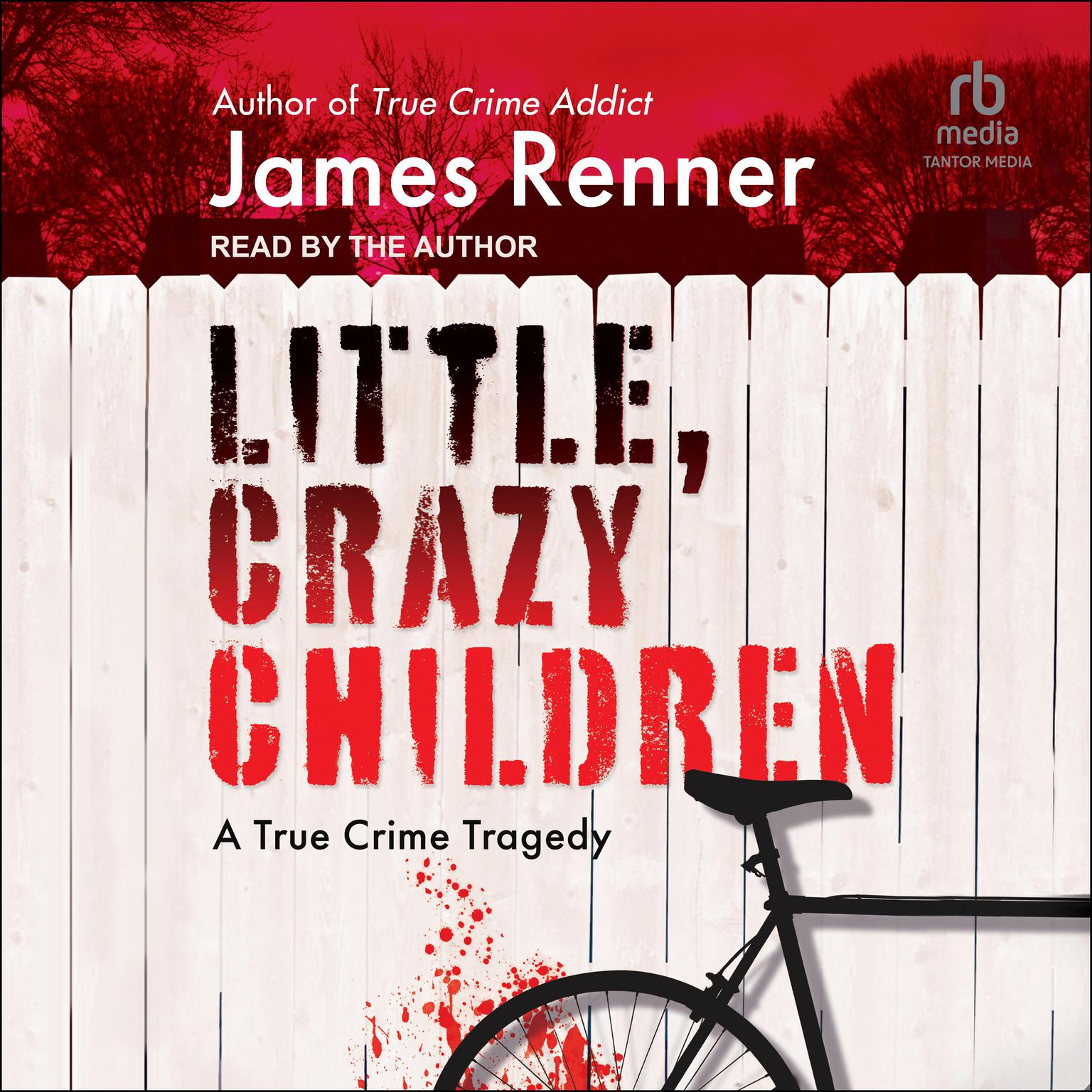 Little, Crazy Children Audiobook, by James Renner
