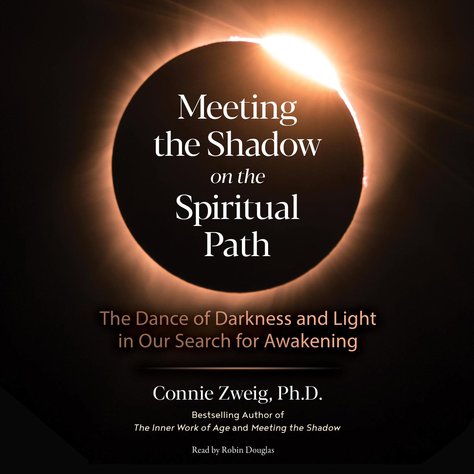 Meeting the Shadow on the Spiritual Path: The Dance of Darkness and Light in Our Search for Awakening Audiobook, by Connie Zweig