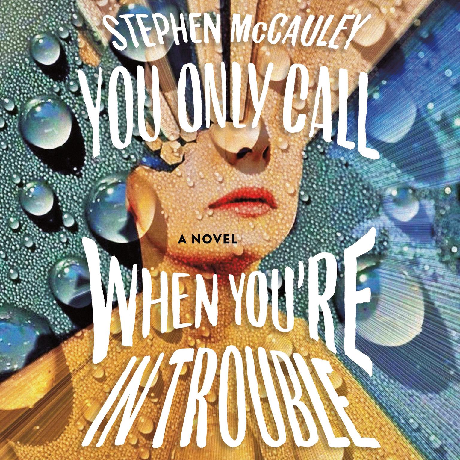 You Only Call When Youre in Trouble: A Novel Audiobook, by Stephen McCauley