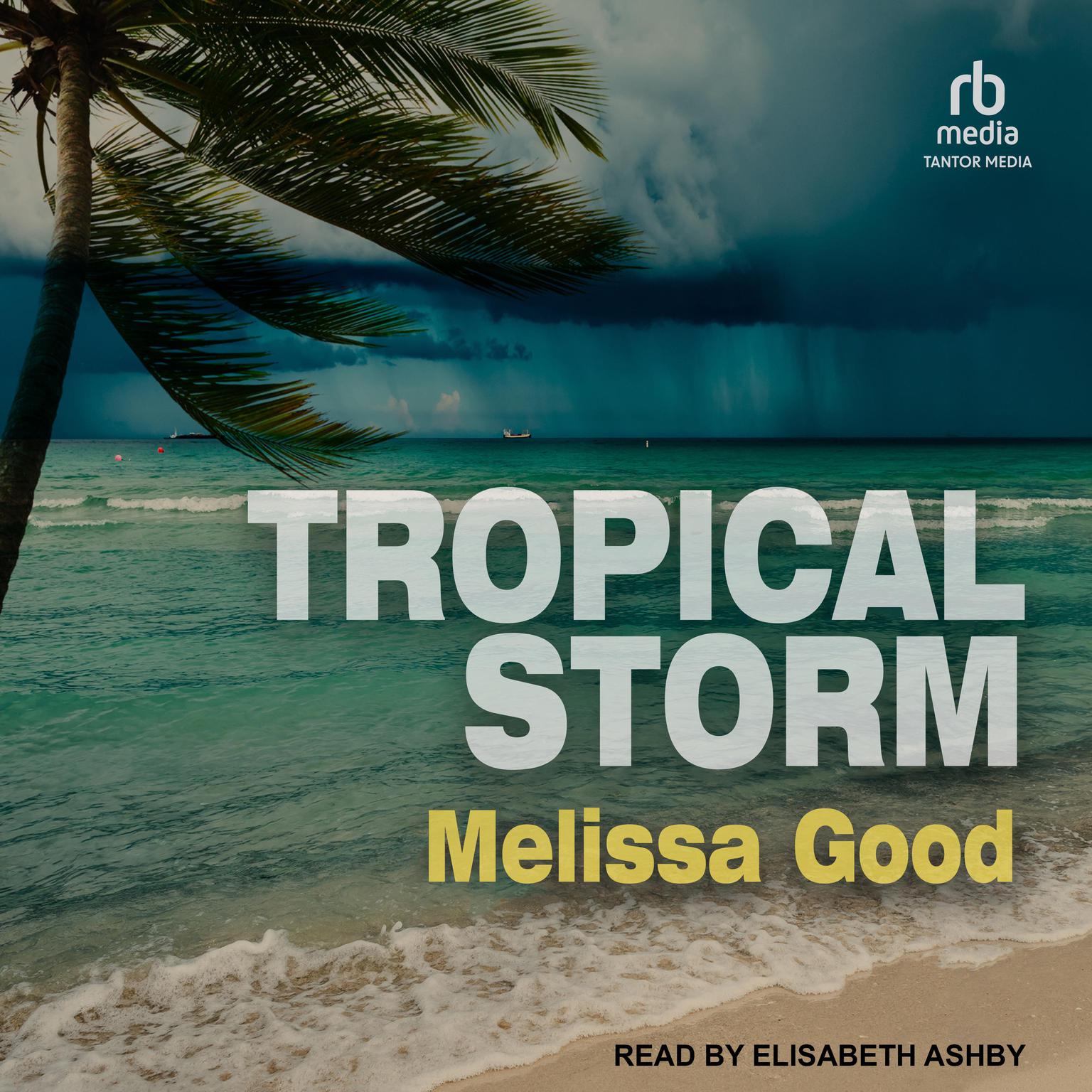 Tropical Storm Audiobook, by Melissa Good