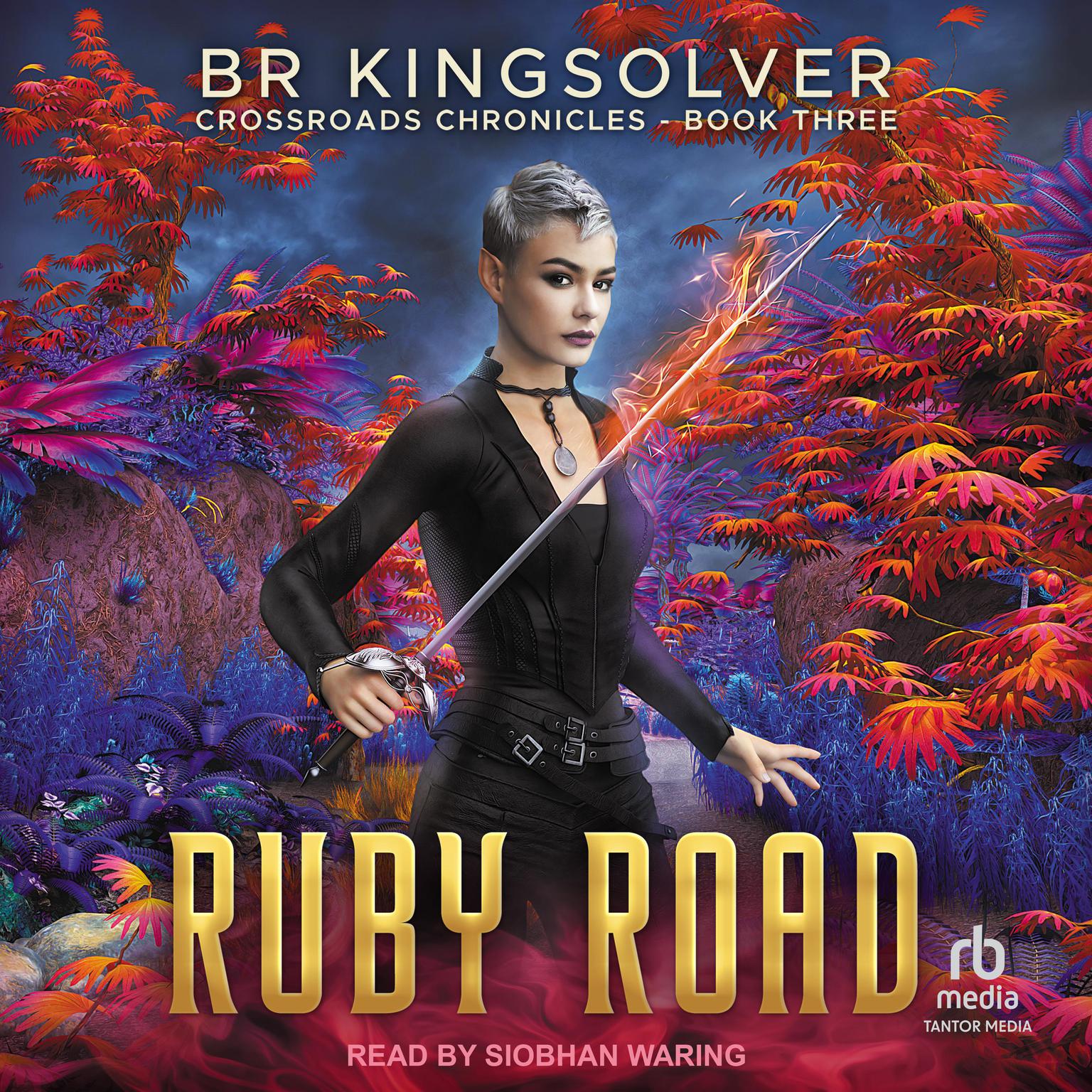 Ruby Road Audiobook, by B.R. Kingsolver