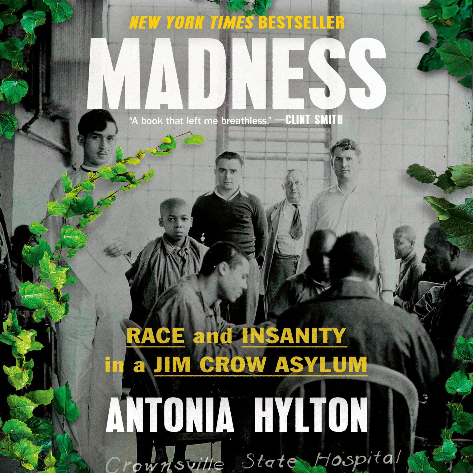Madness: Race and Insanity in a Jim Crow Asylum Audiobook, by Antonia Hylton