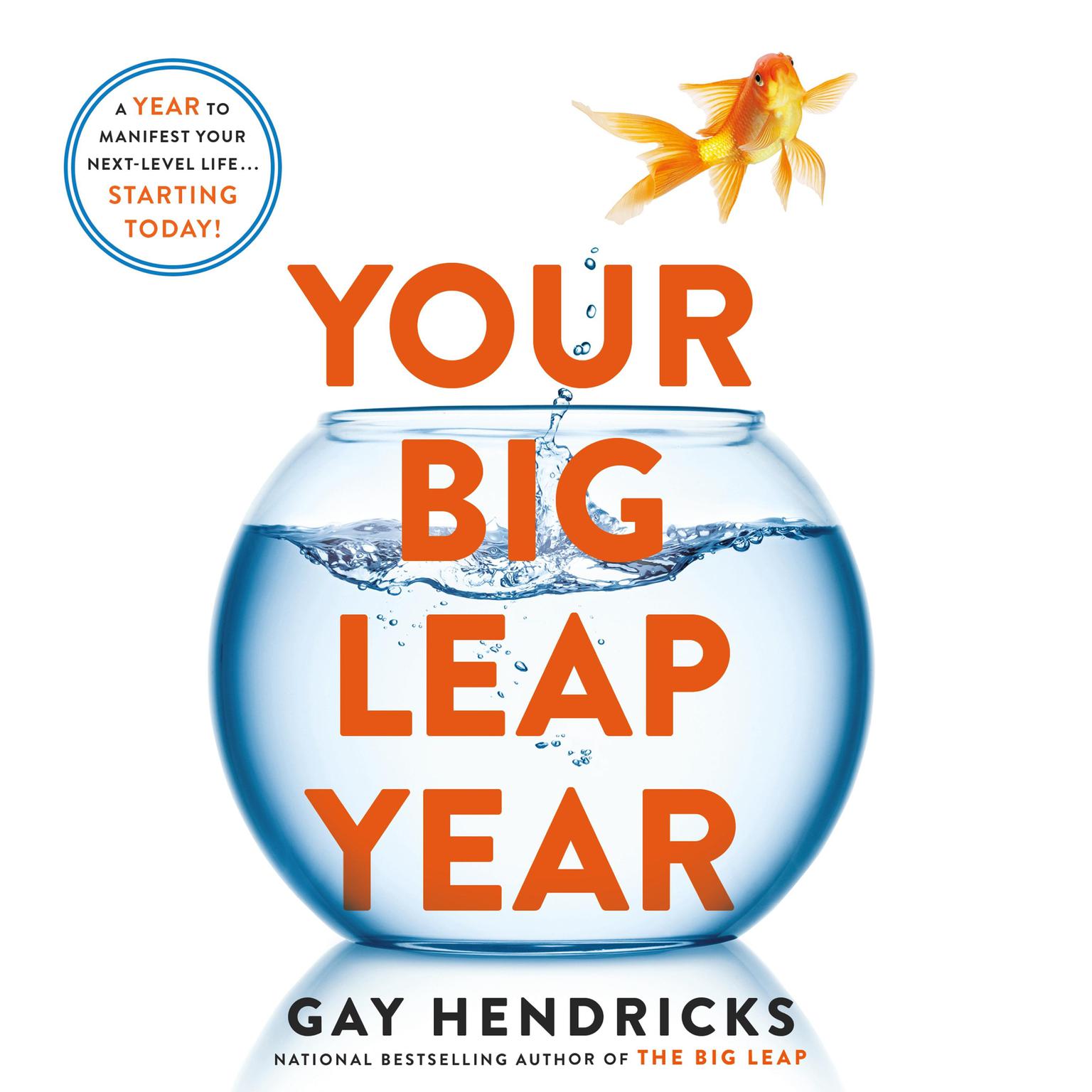 Your Big Leap Year: A Year to Manifest Your Next-Level Life...Starting Today! Audiobook, by Gay Hendricks