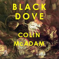 Black Dove Audiobook, by Colin McAdam