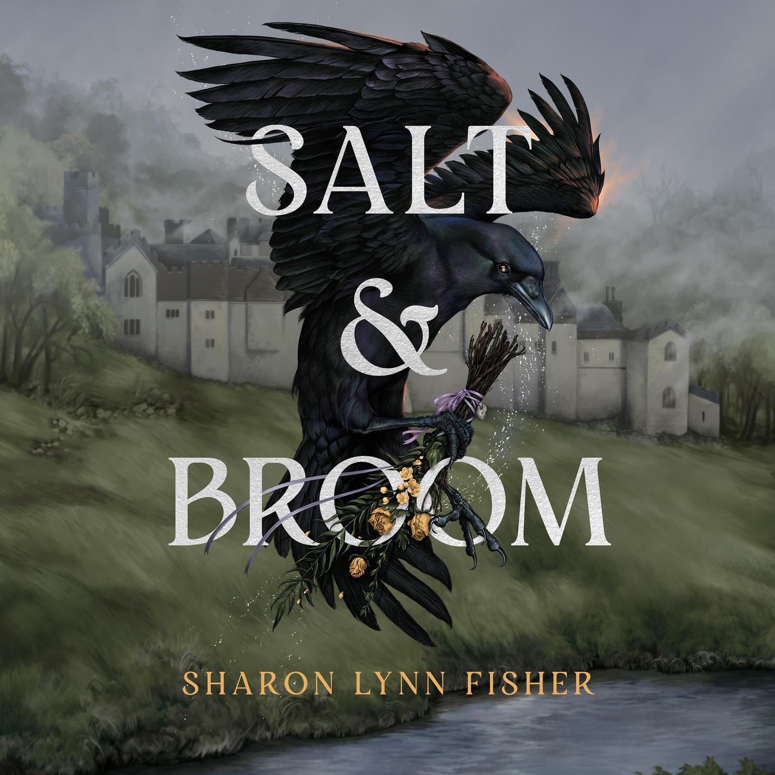 Salt & Broom Audiobook, by Sharon Lynn Fisher