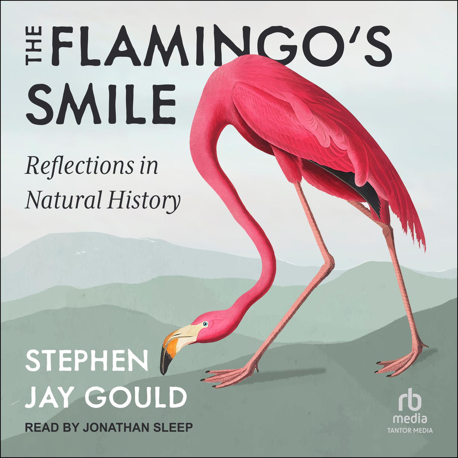 The Flamingos Smile: Reflections in Natural History Audiobook, by Stephen Jay Gould
