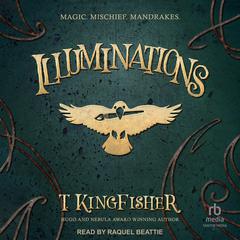 Illuminations Audiobook, by T. Kingfisher