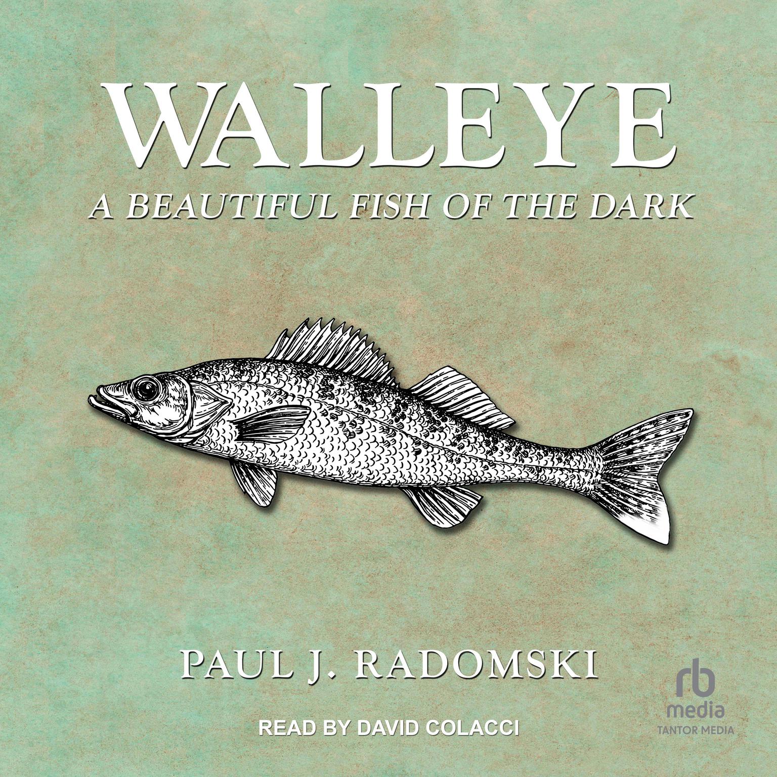 Walleye: A Beautiful Fish of the Dark Audiobook, by Paul J. Radomski