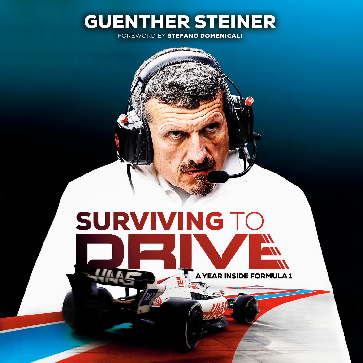Surviving to Drive: A Year Inside Formula 1: An F1 Book Audiobook, by Guenther Steiner