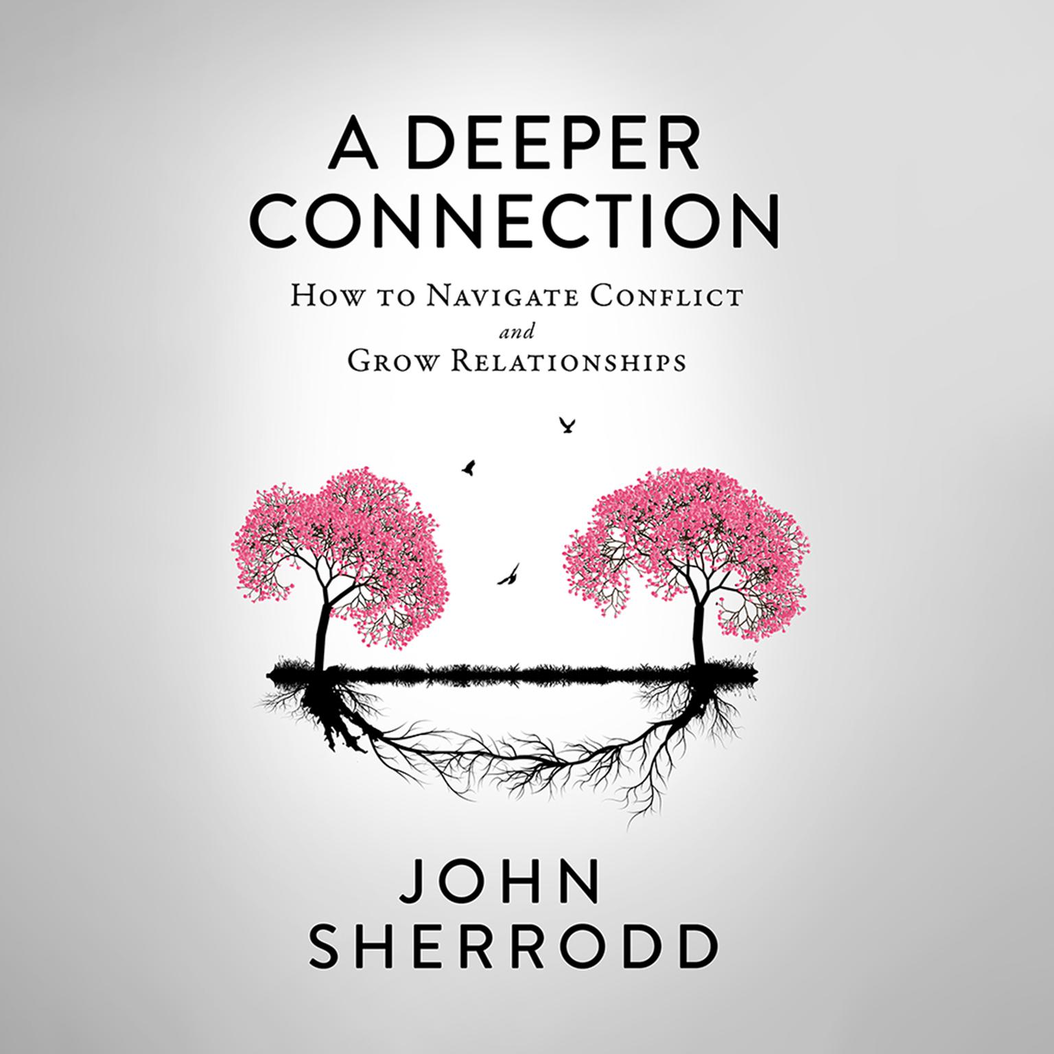 A Deeper Connection: How to Navigate Conflict and Grow Relationships Audiobook