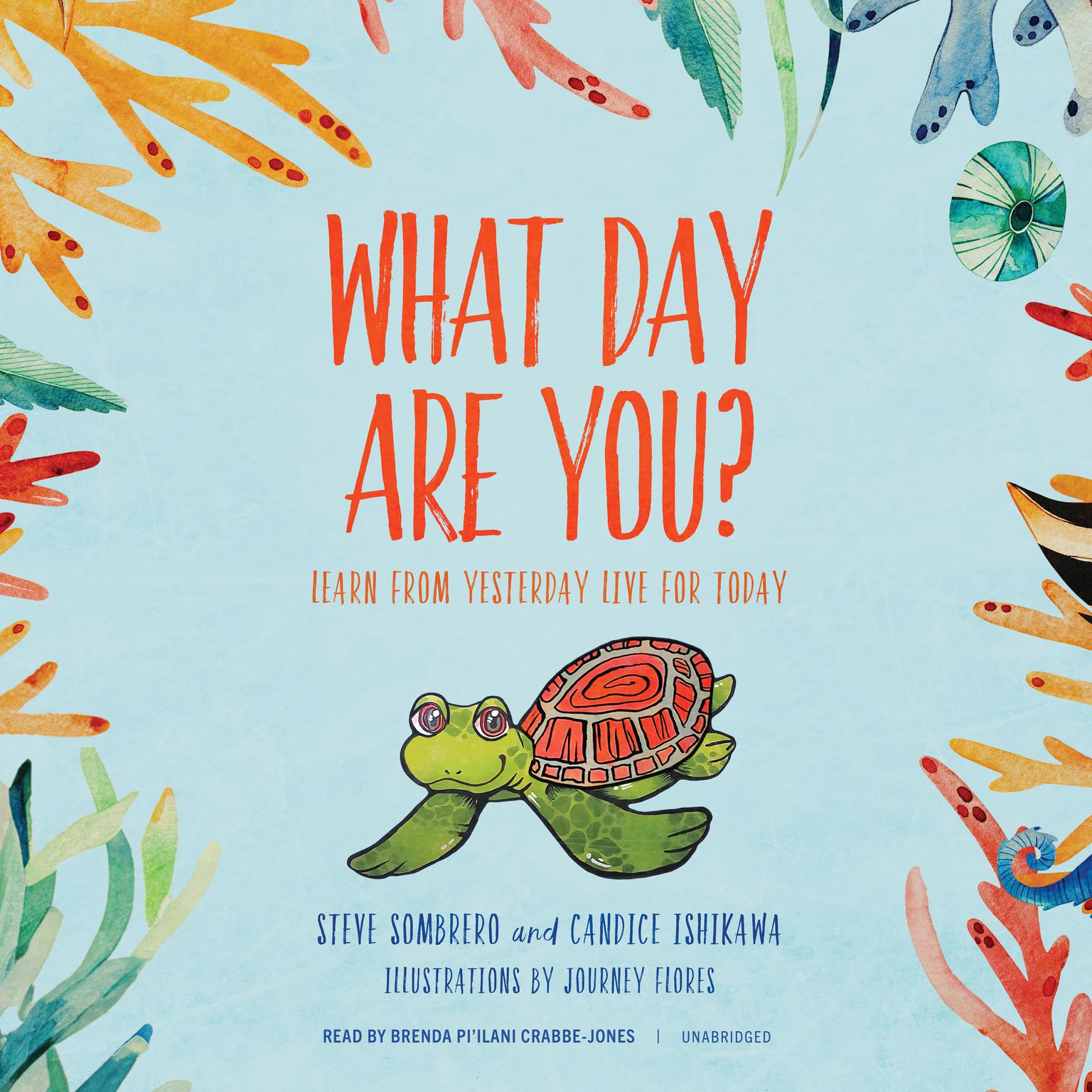 What Day Are You? Audiobook, by Steve Sombrero