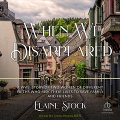 When We Disappeared Audiobook, by Elaine Stock