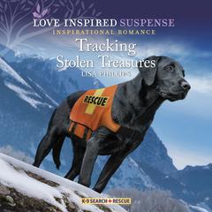 Tracking Stolen Treasures Audiobook, by Lisa Phillips
