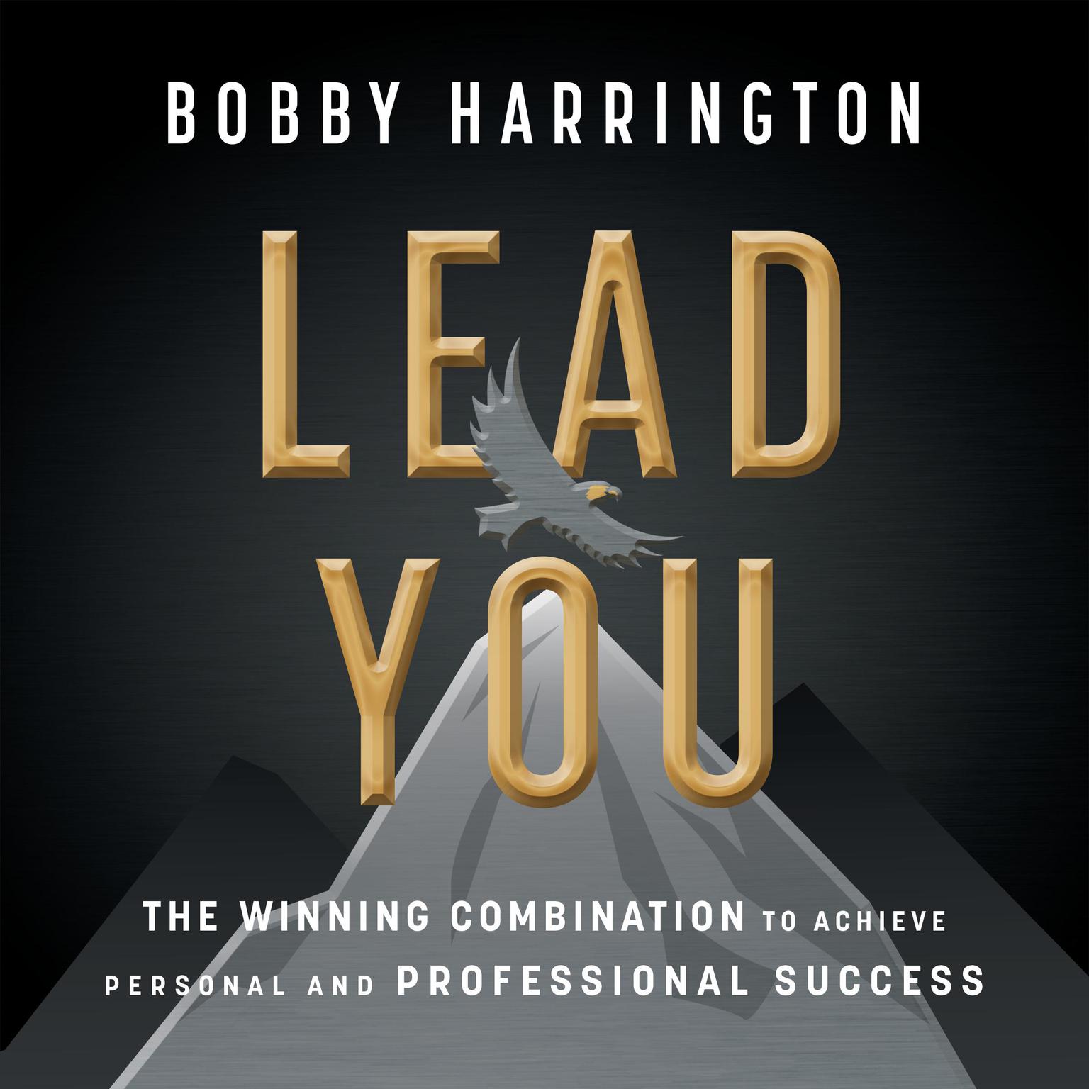 Lead You Audiobook, by Bobby Harrington
