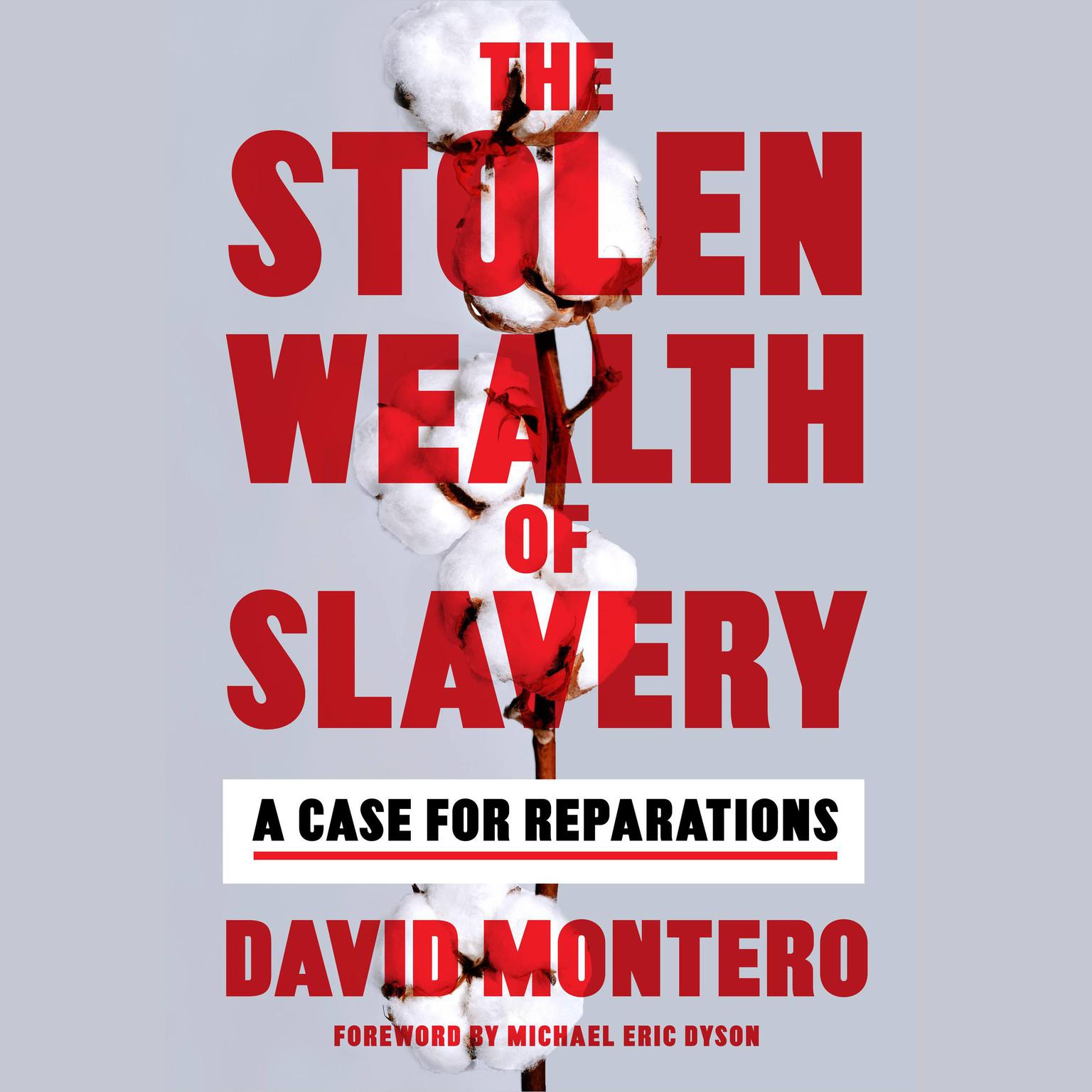 The Stolen Wealth of Slavery: A Case for Reparations Audiobook, by David Montero