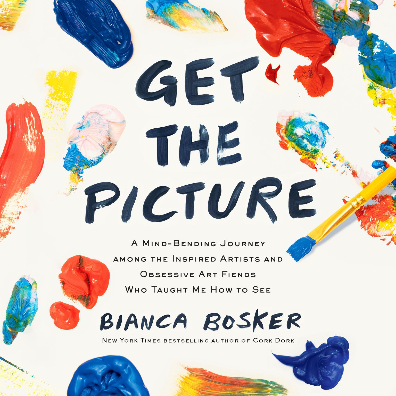 Get the Picture: A Mind-Bending Journey among the Inspired Artists and Obsessive Art Fiends Who Taught Me How to See Audiobook, by Bianca Bosker